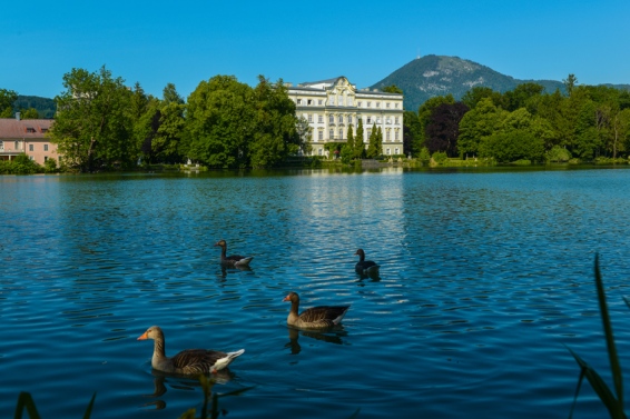 Familienhaus Königswäldchen