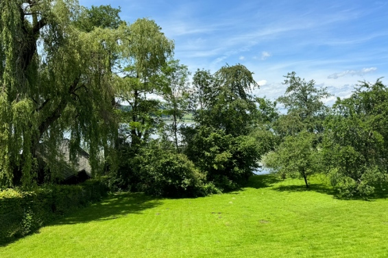 Lakeside plot – Summer Bliss