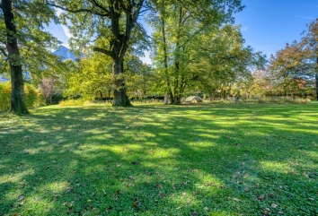 Exclusive Plot in a Green Setting